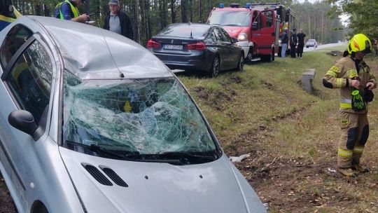 Peugeot wypadł z drogi