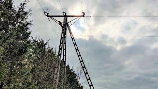 PGE Dystrybucja modernizuje sieci średniego napięcia w skarżyskim oddziale