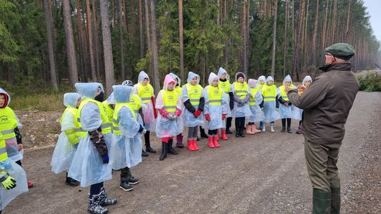 PGE Dystrybucja znów sadzi „Lasy pełne energii”