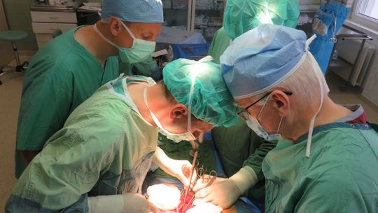 Pierwszy przeszczep nerek w Wojewódzkim Szpitalu Zespolonym w Kielcach