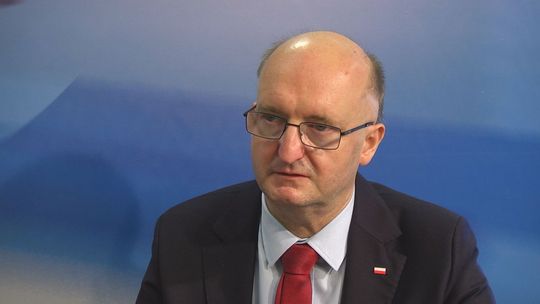 Piotr Wawrzyk, Wiceminister Spraw Zagranicznych