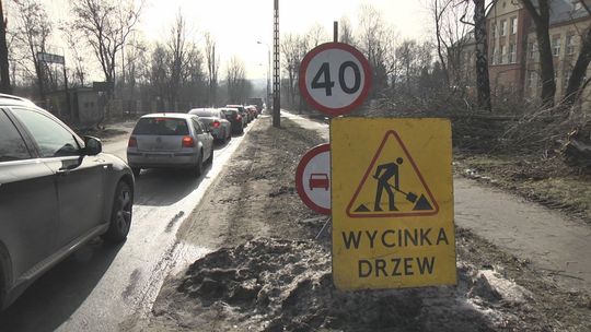 Plac budowy przekazany, trwa wycinka drzew