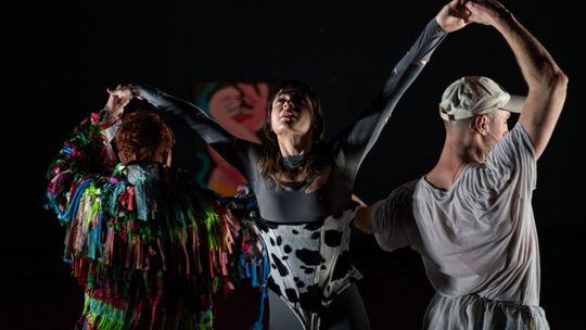 Plebiscyt Publiczności "O Dziką Różę"