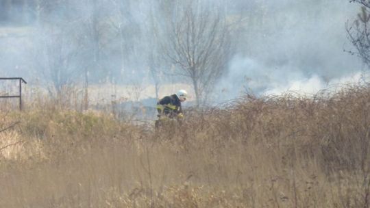 Płoną trawy. Sezon na głupotę trwa!