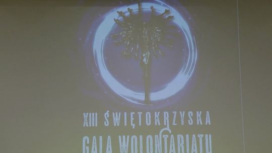 Po raz kolejny przyznane zostaną „Laury wolontariatu”. Trwają zgłoszenia do konkursu