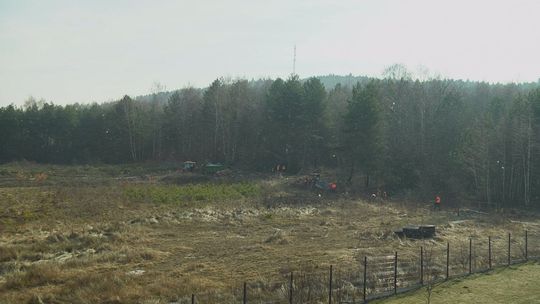 Pod Telegrafem trwa wycinka drzew. Pod budowę GUM