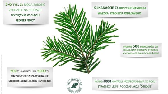 Podsumowanie akcji „Stroisz”