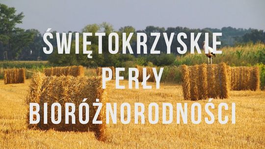 Pojezierze Świętokrzyskie. Pierwsze słyszę