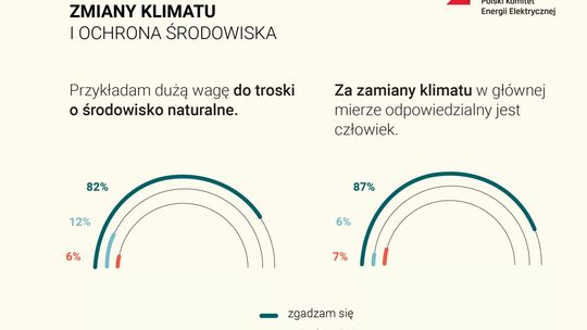 Polski Komitet Energii Elektrycznej - Infografika