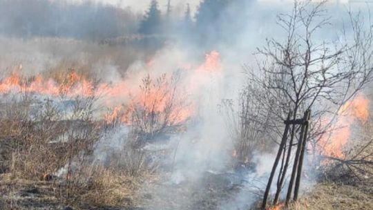 Ponad 1,3 mln złotych strat w pożarach traw i ofiara śmiertelna