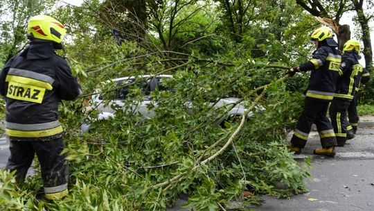 Ponad 260 interwencji straży pożarnej w związku z burzami