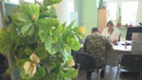 Porady specjalistów, bezpłatne badania i oferty pracy podczas dnia otwartego ZUS