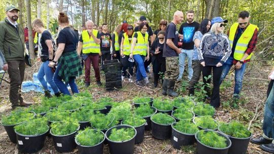 Posadzili 659 drzew na 10-lecie