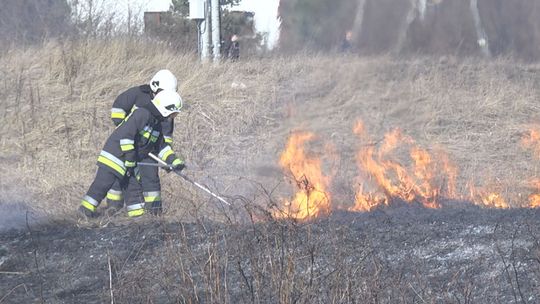 Potężne podpalenie traw w powiecie koneckim