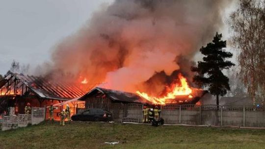 Pożar stajni w Częstochowie