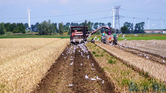 Prawie 89 proc. gospodarstw domowych rolników osiąga dochody