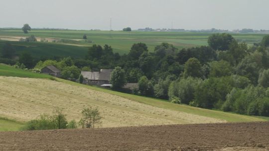 Prawie milion złotych na zabezpieczenie dna wąwozów lessowych w gminie Działoszyce