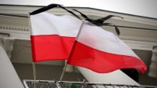 Źródło: um.kielce.pl