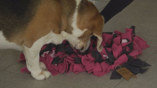 Przed maturą też można zostać przedsiębiorcą