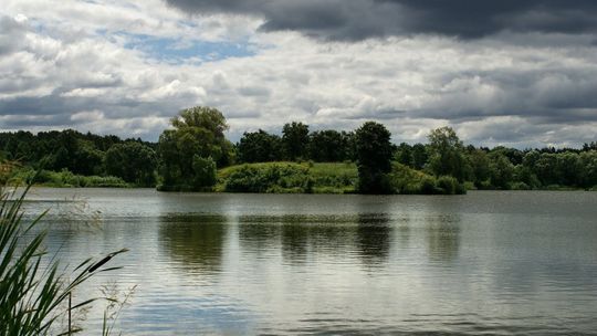 Przegrał zakład, ale wygrał życie