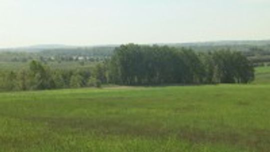 Przywrócą unikalne walory przyrodnicze w delcie umianowickiej rzeki Nidy