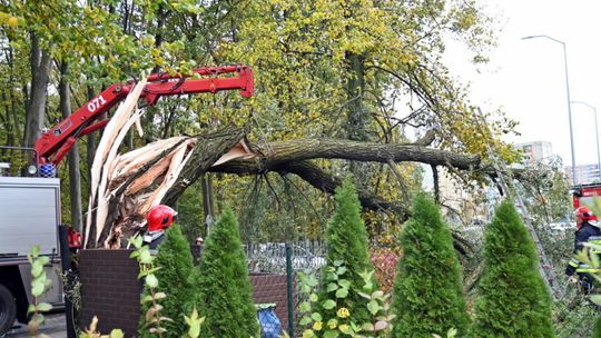 PSP: Niemal dwa tys. interwencji straży ze względu na silny wiatr