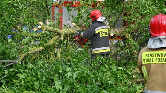 PSP: ostatniej doby strażacy w związku z burzami interweniowali ponad 500 razy