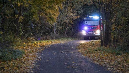 PSP: ponad 10,3 tys. interwencji strażaków w związku z silnym wiatrem; bez prądu ok. 121 tys. odbiorców