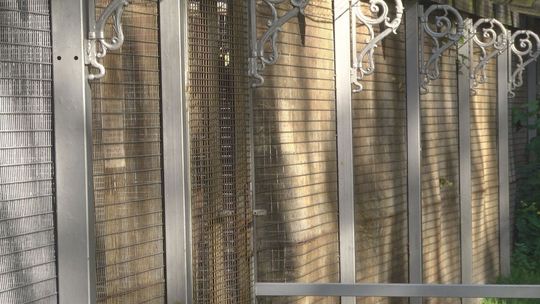 Ptaki z miejskiego parku przeniesione do ośrodka "Ptakolub"