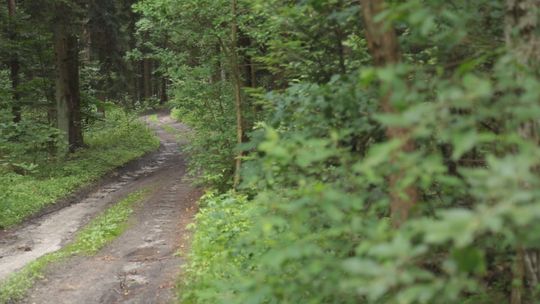 PTTK zaprasza na Maraton Pieszy "Nad Kamienną"