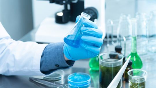 Rada Medyczna przy premierze rekomenduje szczepienie nauczycieli do 60 lat szczepionką firmy AstraZeneca