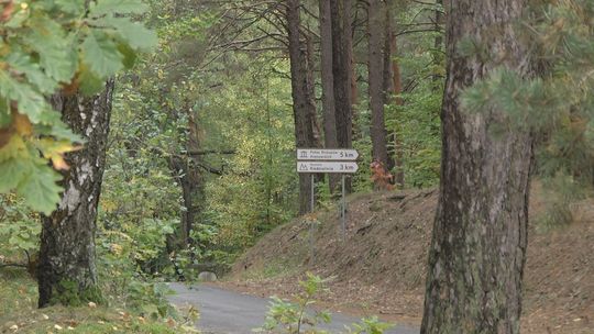Radny Michał Braun nie zgadza się na wycinkę lasu wokół stoku narciarskiego