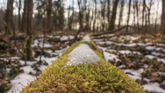 RCB: w najbliższych dniach znaczące ocieplenie; uwaga na roztopy