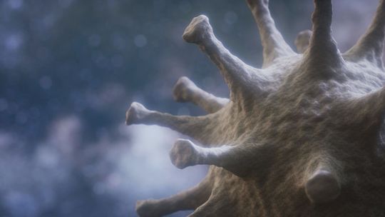 Rekordowa liczba zakażeń w Polsce i  w województwie świętokrzyskim