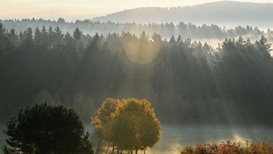 Rekordowo ciepły Dzień Wszystkich Świętych; cały długi weekend również letni