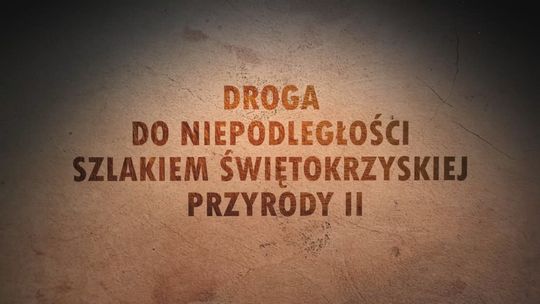 "Rezerwat "Wykus" i jego tajemnice" - zapowiedź czwartego odcinka programu "Droga do Niepodległości Szlakiem Świętokrzyskiej Przyrody II"