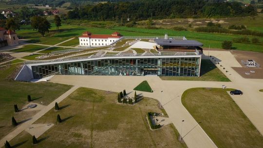 Rodzinny piknik w Święto Wojska Polskiego pełen atrakcji 