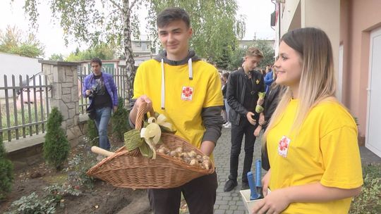 Rozpoczęła się kolejna edycja kampanii Pola Nadziei