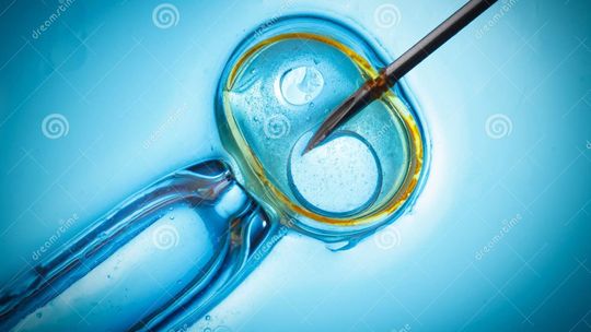  Ruszył miejski program in vitro