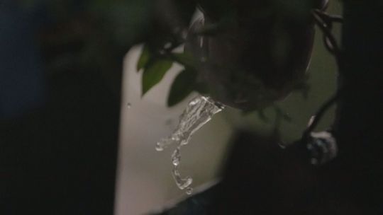 Ruszyła druga edycja programu „Moja Woda”. Fundusz ochrony środowiska przyjmuje wnioski