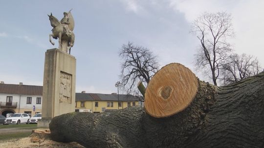 Ruszyła rewitalizacja Końskich