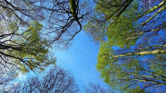 Rzecznik IMGW: Zimowe ferie w wiosennej aurze; śnieg tylko w Tatrach