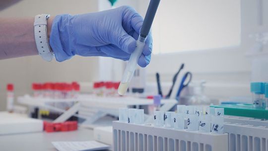 Rzecznik MZ: od piątku możliwość automatycznego wystawiania skierowań na test przez profil zaufany