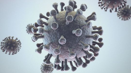 Rzecznik rządu: zgodnie z danymi na wtorek - niecałe 8 tys. zakażeń i 216 zgonów