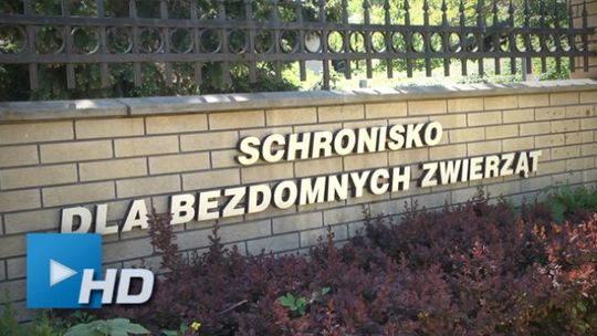 Schronisko dla bezdomnych zwierząt w Dyminach zostanie rozbudowane