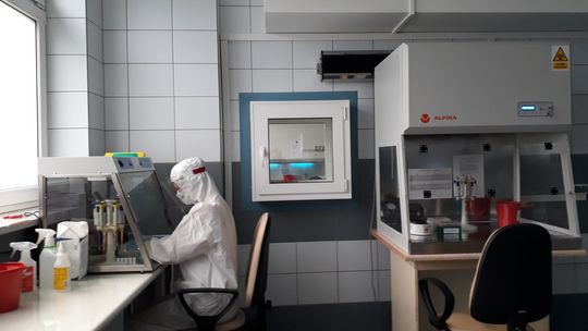 ŚCO uruchomiło własne laboratorium do badania próbek pod kątem koronawirusa