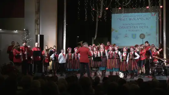 Seniorzy z powiatu kieleckiego świętowali Dzień Babci i Dziadka