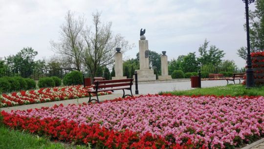 Skarżysko będzie miało Ogrodnika Miejskiego