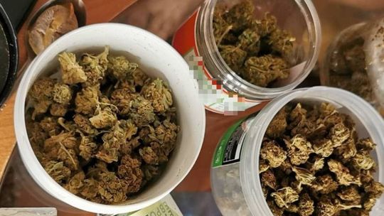 Słoiczki z suszem roślinnym znalezione u 26- letniego mieszkańca gminy Miedziana Góra