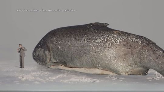 Spektakl kieleckiego teatru zobaczysz na YouTube